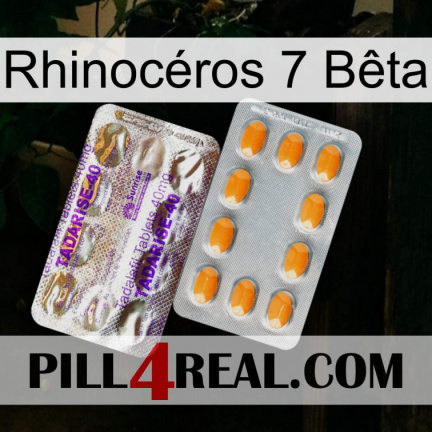 Rhinocéros 7 Bêta new12